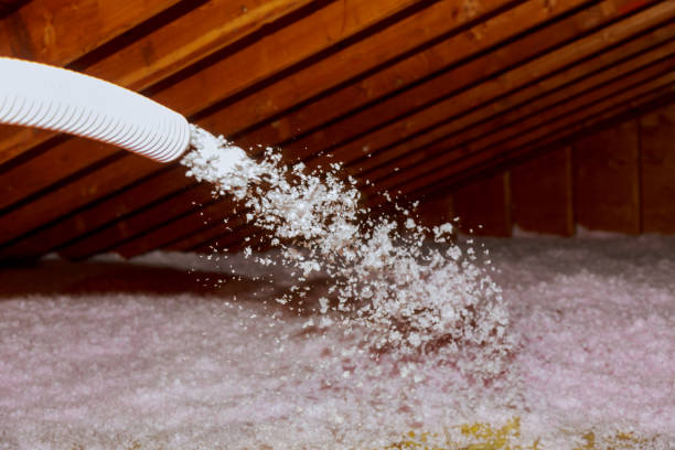 Best Eco-Friendly Insulation in Doniphan, MO