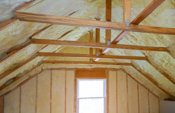 Best Cellulose Insulation in Doniphan, MO