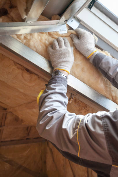 Best Blown-in Insulation in Doniphan, MO
